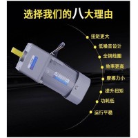 流水线90W/120W微型交流齿轮调定减速