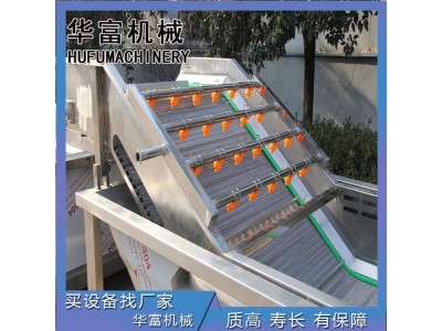 竹笋尖全自动气泡清洗风干设备 毛豆全自动气泡清洗机设备图1