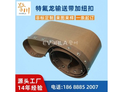 擎川everlar 特氟龙耐高温输送带图1