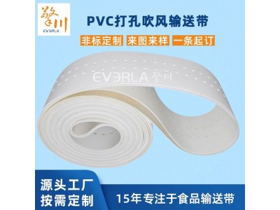 白色PVC食品输送带打孔吸风机传动带pvc双排孔传送带图1