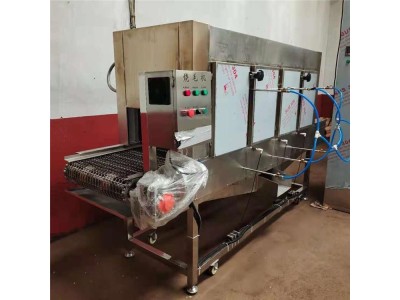 电子打火肉类烧毛机 全自动猪皮去毛烧毛机器图1