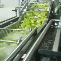 景翔牌花生清洗机 韭菜清洗设备 毛豆连续清洗线