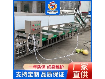 全自动水果选果机 小型蔬菜大小分级机 滚杠式分级设备图1