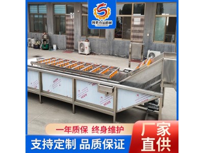 全自动桑葚清洗机 多功能不锈钢清洗加工线 隆胜机械图1