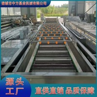 气泡翻浪清洗机 小香菜去泥清洗设备 净菜加工成套流水线