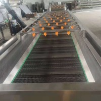 高压喷淋气泡清洗机 果蔬加工设备 净菜加工流水线定做