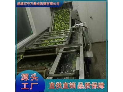 净菜清洗气泡清洗机 食堂小型洗菜机 中央厨房加工流水线图1