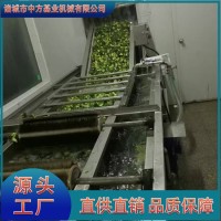 净菜清洗气泡清洗机 食堂小型洗菜机 中央厨房加工流水线