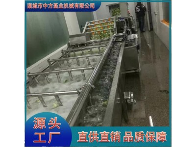 喷淋式气泡清洗机 水浴式叶菜类气泡清洗线 按需定制图1