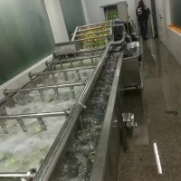 果蔬气泡清洗机 全自动蔬菜清洗加工设备 海带清洗机器