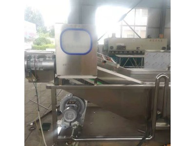 叶类菜气泡清洗机 果蔬净菜深加工设备 中方基业图1