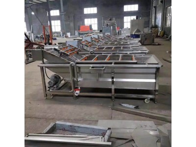 小龙虾气泡清洗机 高压喷淋清洗加工流水线 商用洗菜机图1