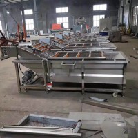 小龙虾气泡清洗机 高压喷淋清洗加工流水线 商用洗菜机