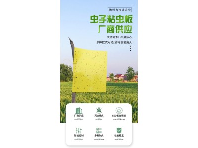 宝迪双面粘虫板 防水果园诱虫板 贴纸农用黄篮板黏虫板尺寸可定图2