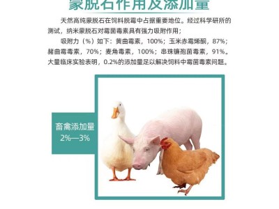 蒙脱石 饲料蒙脱石 脱霉蒙脱石图2