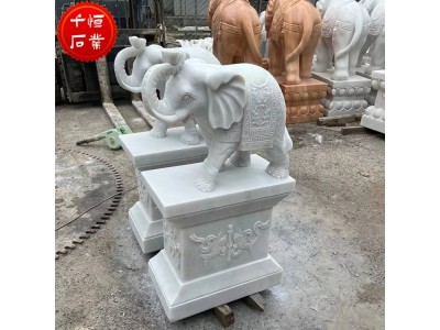 鼻子朝上石雕大象 汉白玉石象 招财镇宅石头元宝象雕塑图5