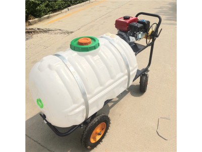汽油自走式打药机 小型手推喷药机 农用手推喷雾器图1