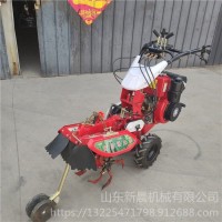 大棚开沟培土草莓扶垄机自走式大葱培土机10马力柴油田园管理机