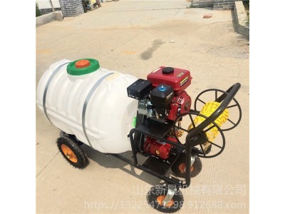 新晨园林汽油手推打药机 远射程喷药机 养殖消毒喷雾器图1