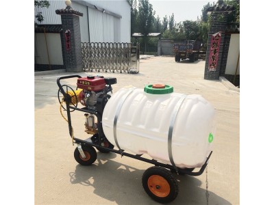 高压打药机汽油喷雾器电动打药机手推打药机图1