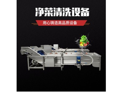 商用土豆水洗机地瓜干洗机设备 大型蔬菜清洗线图1