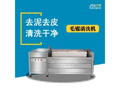 商用果蔬洗菜机红芋全自动去泥去皮清洗小毛芋头毛辊清洗图1