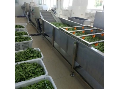 连续式全自动蔬菜清洗机 果蔬清洗机 中央厨房洗菜流水线图1