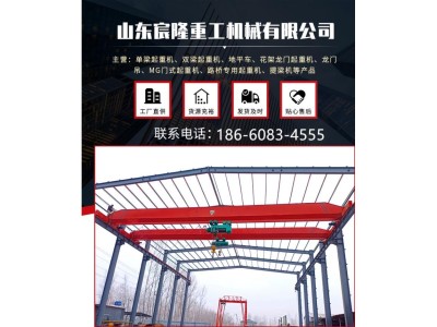 宸隆重工 LH型龙门吊 电动葫芦20吨门式起重机 生产销售图1