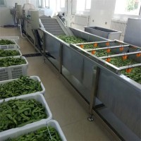 全自动水果清洗机 商用冰糖橙清洗设备 大型农产品洗果机