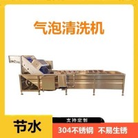 毛豆水洗去泥分选加工大枣蔬菜清洗机流水线设备