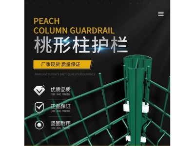 市政 道路中央隔离栏 防人行跨道护栏 道路两侧围栏图1