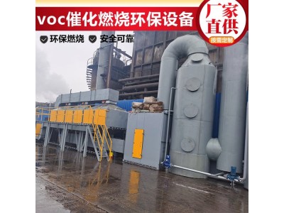 澳纳森 voc催化燃烧 工业废气环保设备 安全转化图1