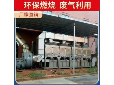 澳纳森 催化燃烧环保设备 工厂助燃设施 安全可靠图1