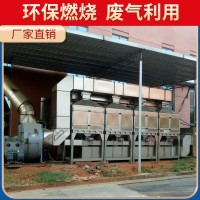 澳纳森 催化燃烧环保设备 工厂助燃设施 安全可靠