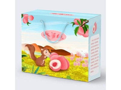 特产包装礼品盒 红枣干果手提手提式礼盒 定制印刷logo图1