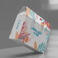 定制印logo 胶原蛋白瓦楞手提飞机纸盒 龙眼手提式礼盒