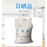 工业二级大颗粒日晒工业盐现货锅炉水处理用 海盐