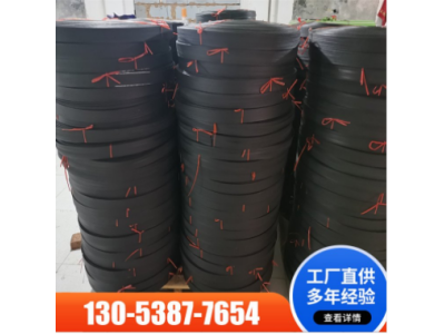 钢塑复合拉筋带 铁路护坡公路施工用土工加筋带图1