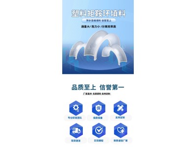 塑料矩鞍环 聚丙烯 pp cpvc rpp多种材质图1