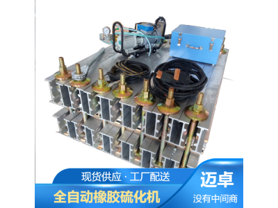 新型硫化机 水冷却硫化机 局部硫化机图1