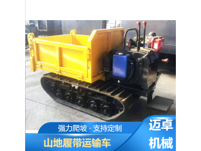 6吨矿用履带四不像车 大马力的橡胶履带运输车图1