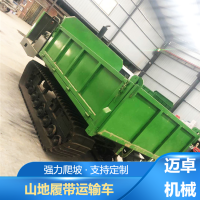 全地形履带运输车 水利工程四缸矿用履带车