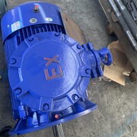 矿用防爆箱 矿用型接线盒 电伴热带终端接线盒