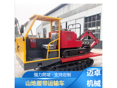 全地形履带车 复杂道路专用车 附带式运输车图1