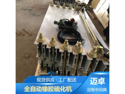 加热板硫化机 真空硫化机 硫化成型机 平板硫化机图1
