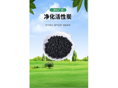 圆柱状活性炭 金运水处理 高吸附煤质除臭去味脱色工业废气处理图1