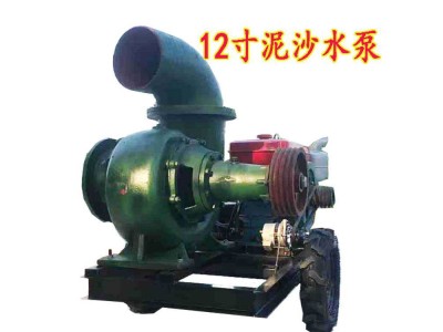 柴油机带大流量抽水泵 12寸蜗壳式混流泵图1