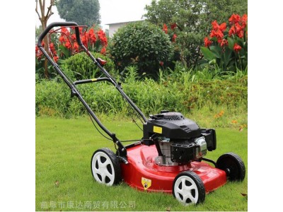 供应自走式草坪修剪机图片 侧挂式割草机图1