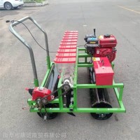 蔬菜播种机 多行蔬菜种子播种机 多功能播种机