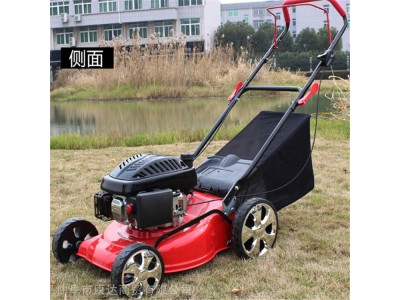进口修剪草坪机多型号草坪修剪割草机学校草坪修剪机优良图1